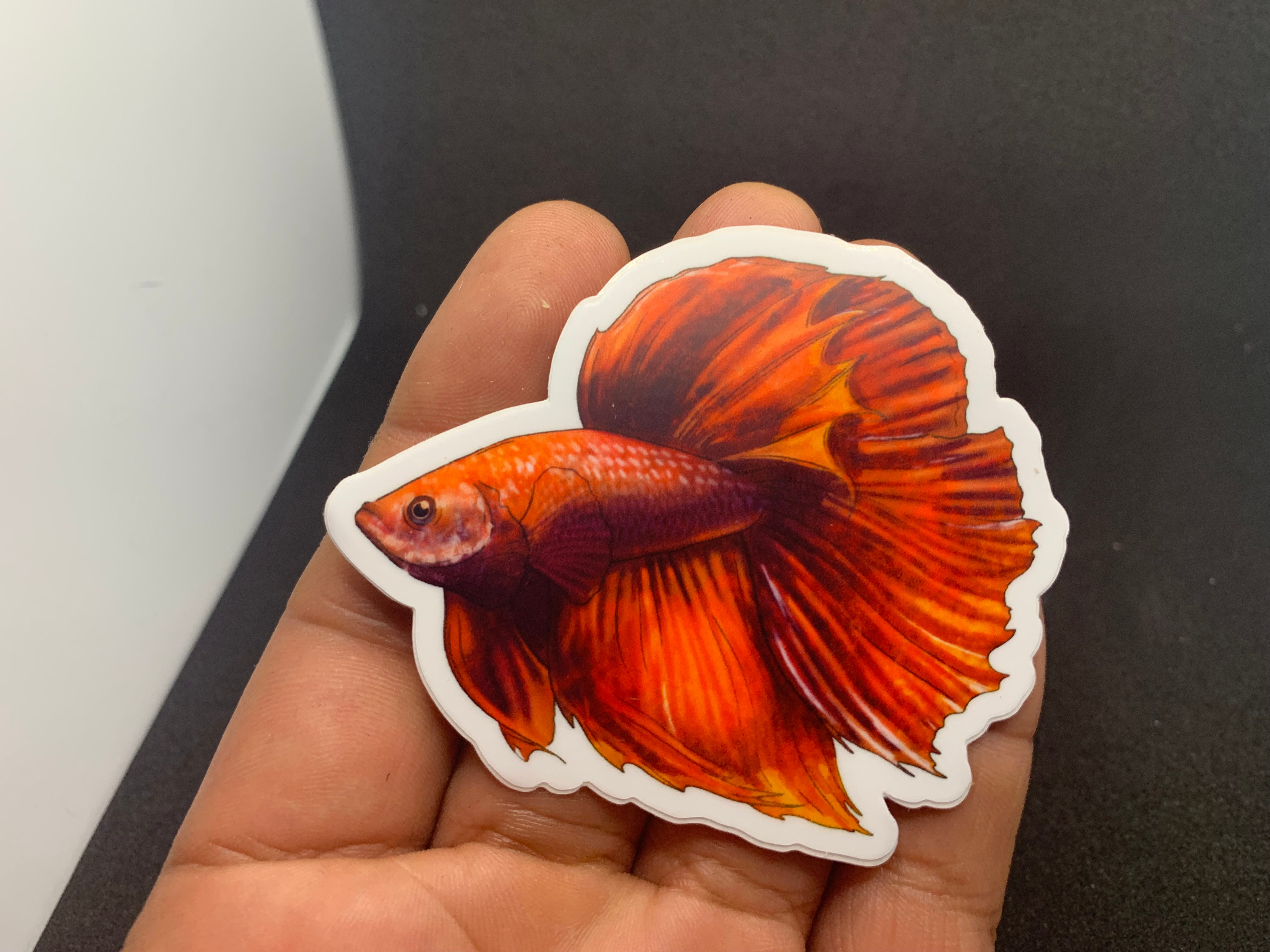 Red LIVE FISH Handle With Care Labels Stickers Pet Shop Aquatic 100x75mm TWU-80 